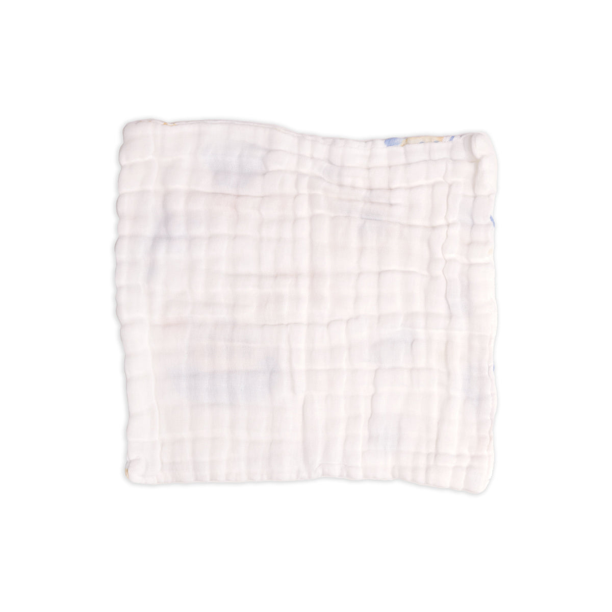 Wild Explorers Baby Wash Cloth (Pack of 3)
